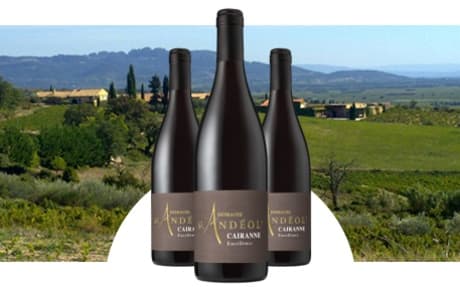 Domaine Saint Andéol
