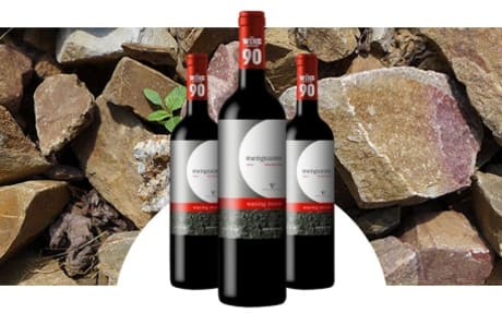 Vinedos y Bodegas Pablo