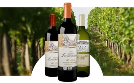 Château Lacaussade Saint-Martin