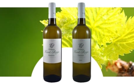 Château Haut Reys