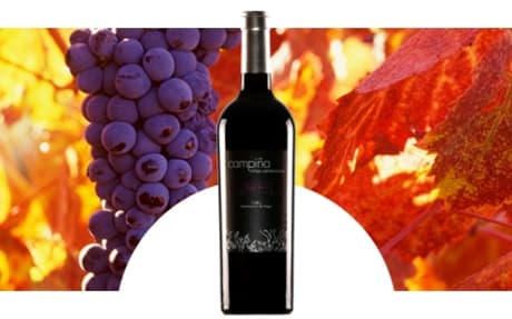 Bodegas Campina