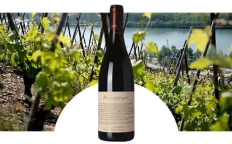 Les Vins de Vienne