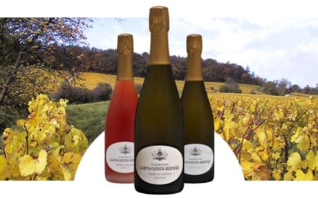 Champagne Larmandier-Bernier