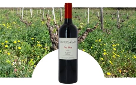 Domaine Lacroix-Vanel