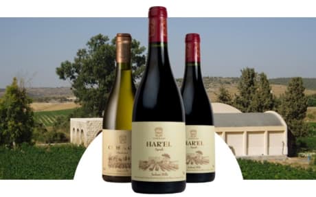 Clos de Gat