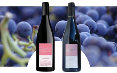 Domaine de la Gayère