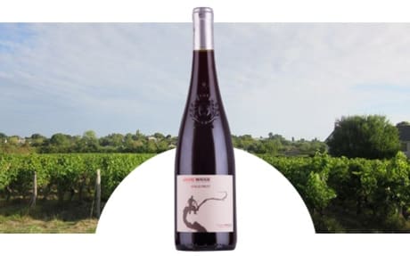 Domaine Matignon