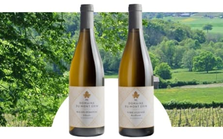 Domaine du Mont Epin