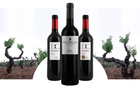 Bodegas Diez-Caballero