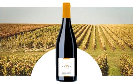 Domaine Sauvète