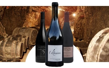 Sylvain Bruneau Vigneron