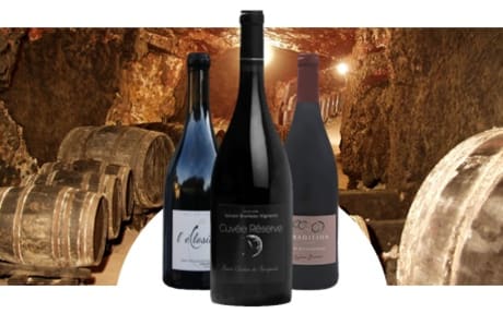 Sylvain Bruneau Vigneron