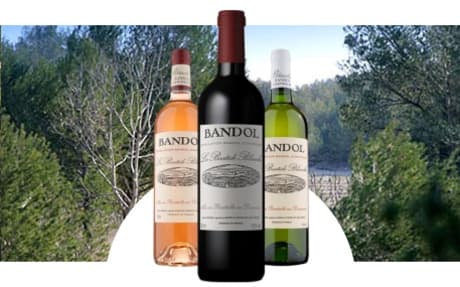 Domaine la Bastide Blanche
