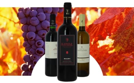 Domaine Fontanel