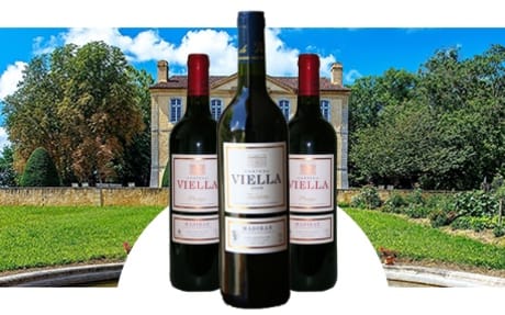 Château de Viella
