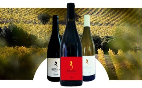 Domaine Bellavista