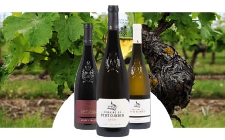 Domaine du Petit Clocher