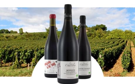 Famille Chasselay