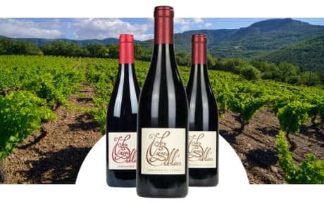 Les Vignes Oubliées