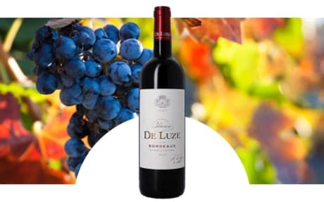 Baron De Luze