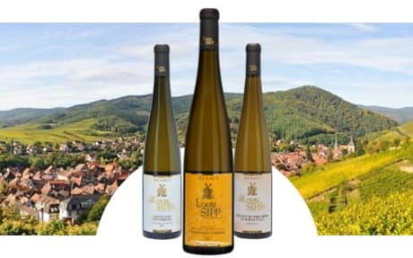 Domaine Louis Sipp