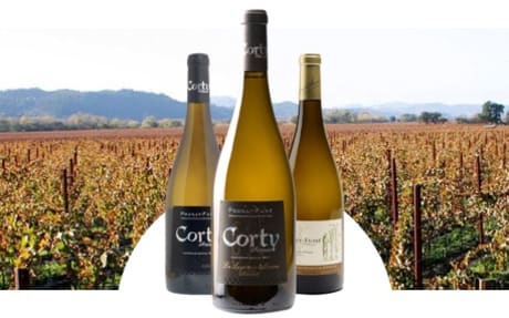 Vignobles Patrice Moreux