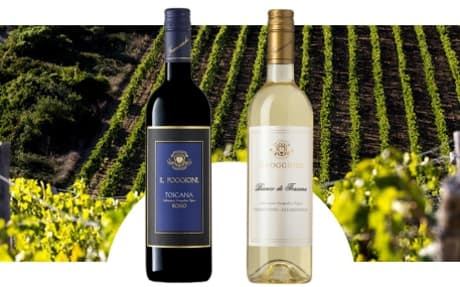 Tenuta Il Poggione