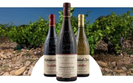 Domaine Les Cailloux - André Brunel