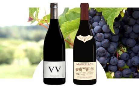 Domaine du Cros