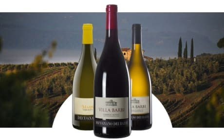 Tenuta Decugnano dei Barbei