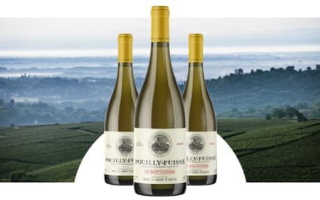 Domaine du Roc des Boutires