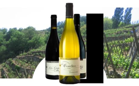 Domaine François Merlin
