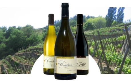 Domaine François Merlin