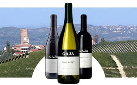 Gaja