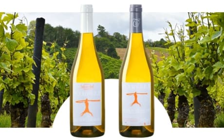 Domaine Tabordet