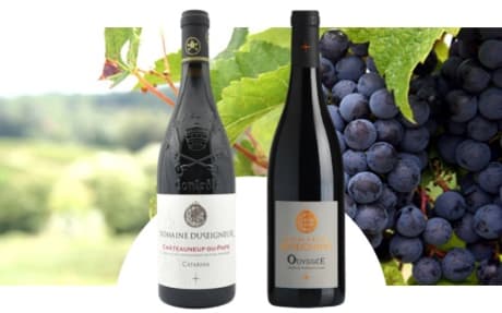 Domaine Duseigneur