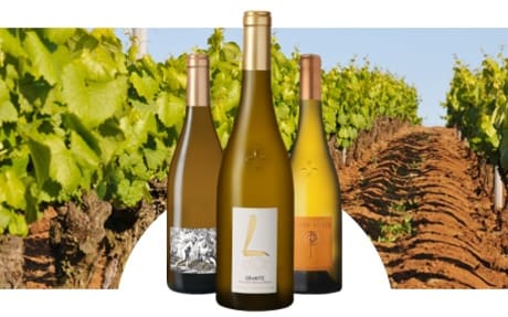 Domaine Luneau Papin