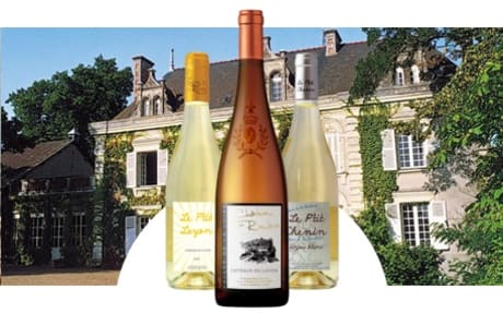 Château de la Roulerie