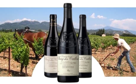 Domaine du Sang des Cailloux