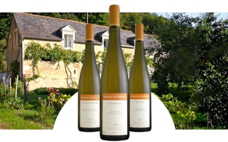 Domaine de Bellivière