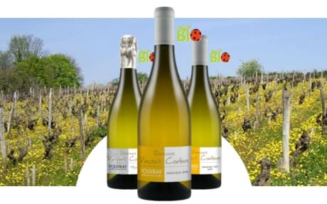 Domaine Vincent Carême