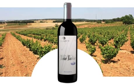 Bodega Virgen de la Asunción