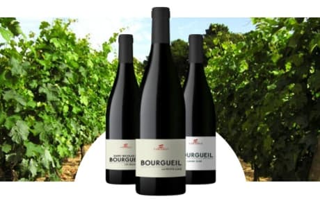 Domaine Yannick Amirault