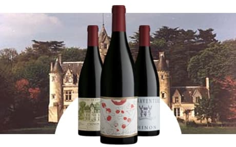 Château de Coulaine