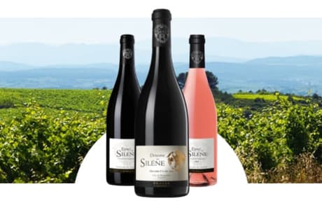 Domaine du Silène