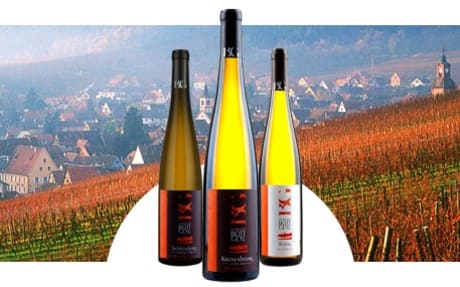 Domaine Bott-Geyl