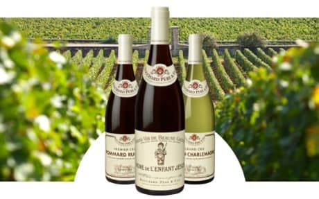 Bouchard Père et Fils