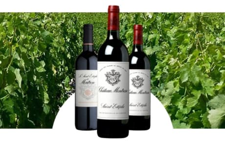 Château Montrose