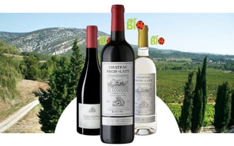 Château Pech-Latt