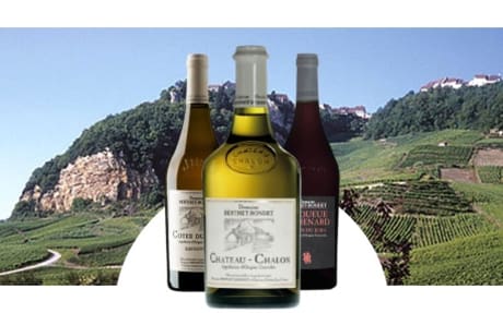 Domaine Berthet-Bondet